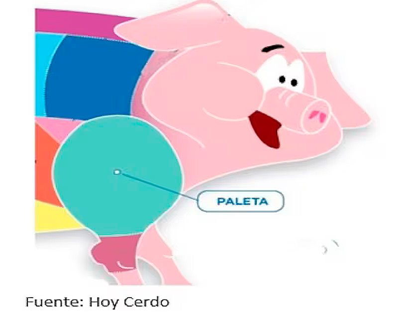 La paleta de cerdo: una opción económica, saludable y deliciosa que compite con el novillo