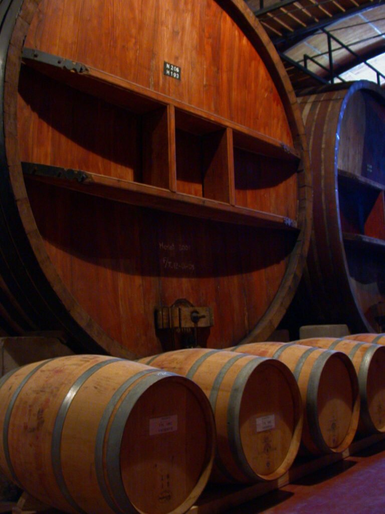 El Reino Unido reconoce las expresiones tradicionales de los vinos argentinos, impulsando las exportaciones